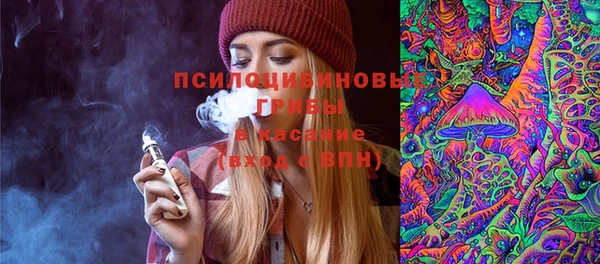 стафф Каменка