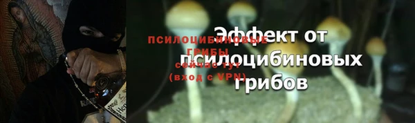 скорость Касимов
