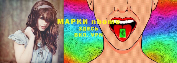 стафф Каменка