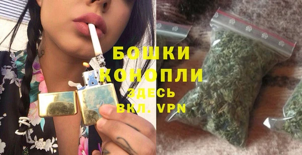 стафф Каменка
