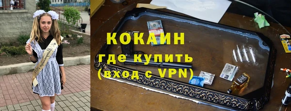 стафф Каменка