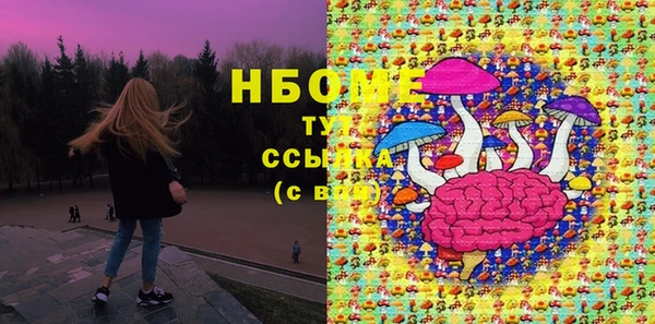 стафф Каменка