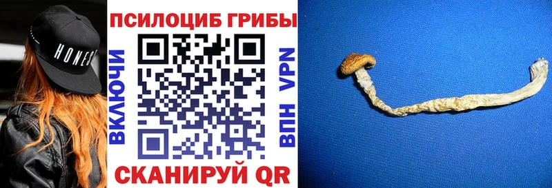 Купить закладки  Дюртюли  Галлюциногенные грибы GOLDEN TEACHER 